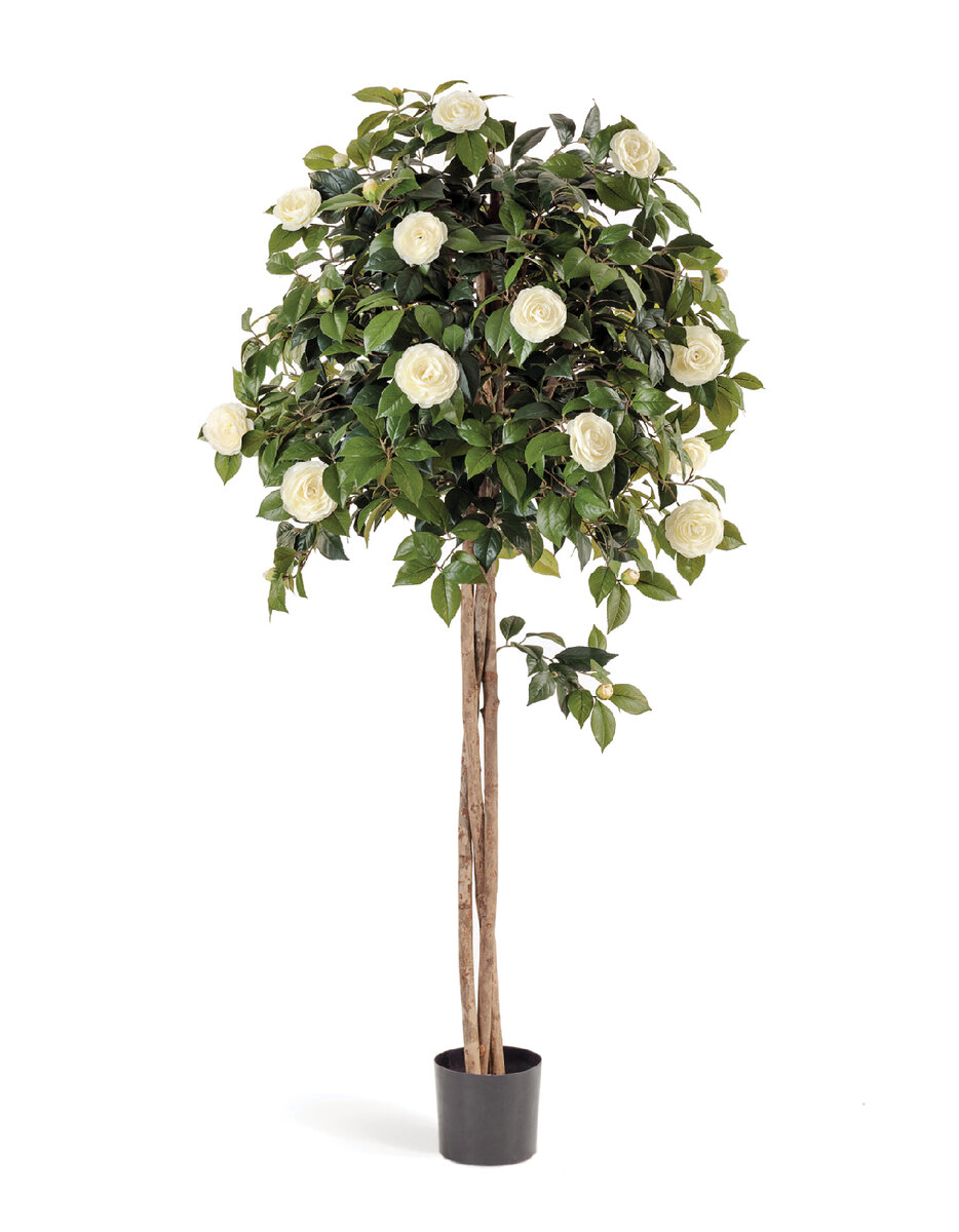 Искусственная камелия Treez Collection.