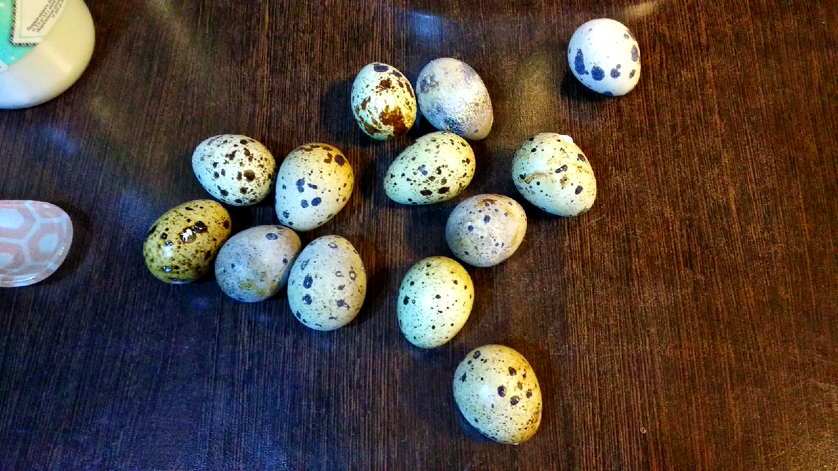 Авторская фотография канала "Пожарская кухня"