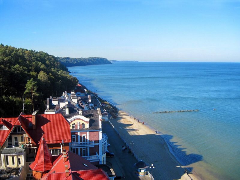 яндекс картинки