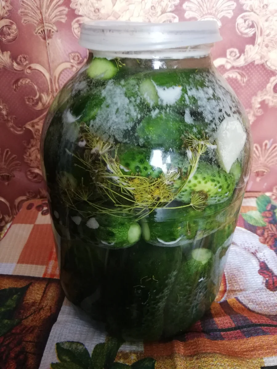 Рецепт огурцов на зиму под капроновую крышку. Самый необычный рецепт заготовки огурцов. заготовка огурцов по агапкину. как вызвать огурчика дома.
