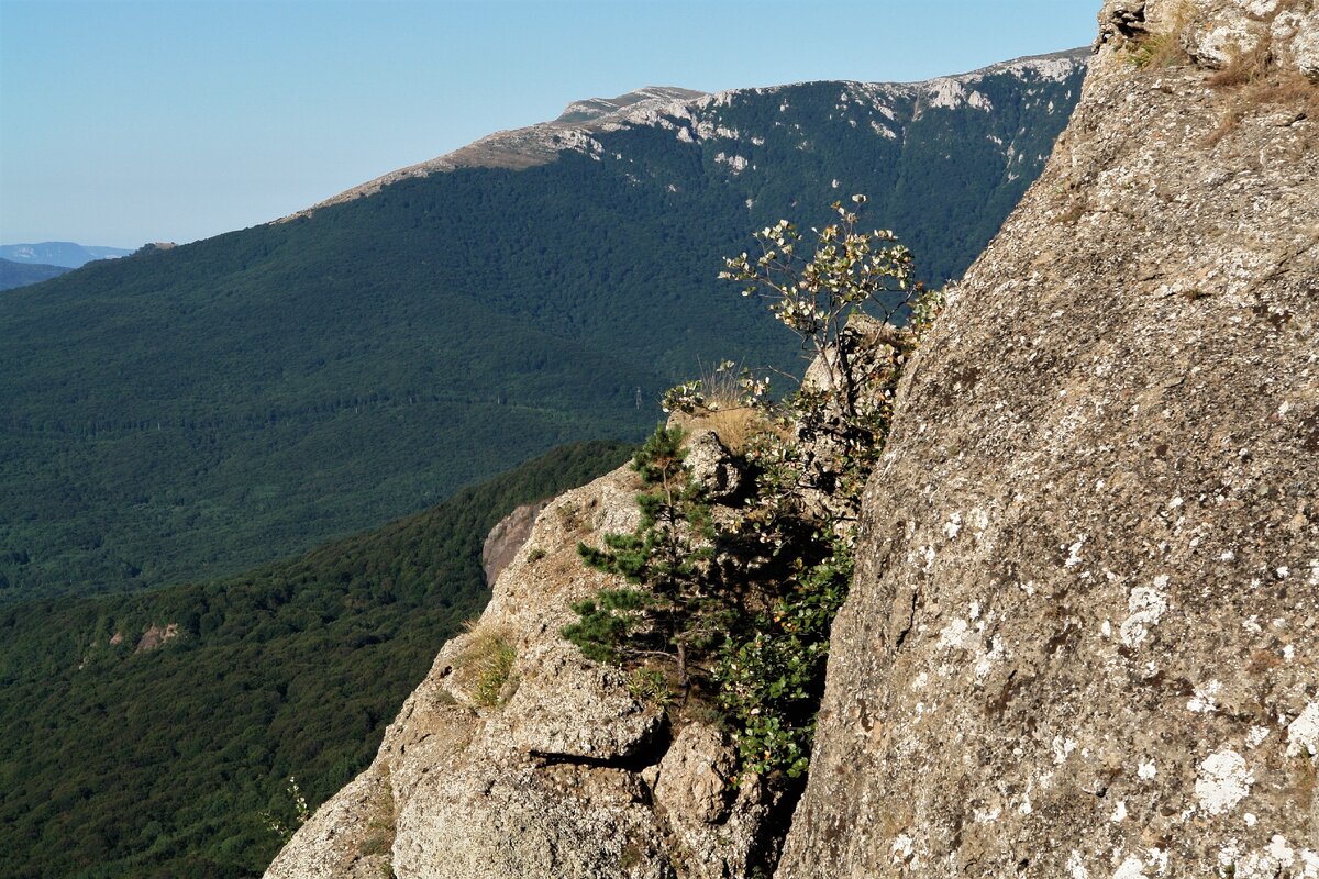 Фото из личного архива автора.