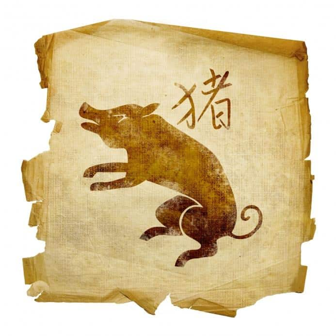 Китайский гороскоп свинья. Знак китайского зодиака свинья. Китайский кабан знак зодиака. Животные восточного календаря. Год свиньи зодиака