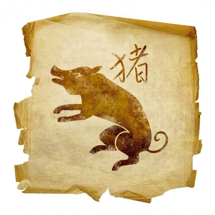 Зодиак год свиньи. Китайский Зодиак свинья. Знак китайского зодиака свинья. Восточный гороскоп. Животные восточного календаря.