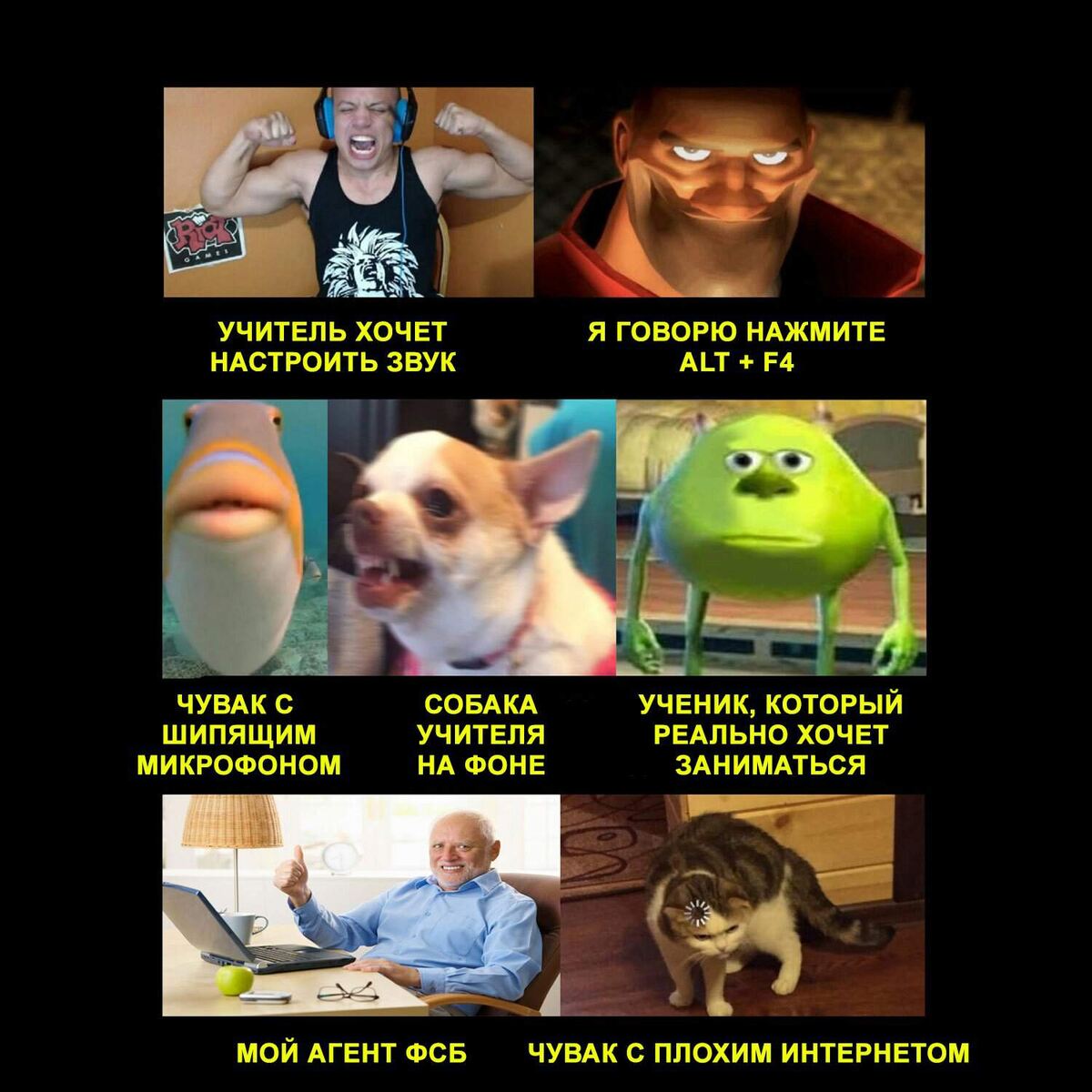 Фото взято из Яндекса.