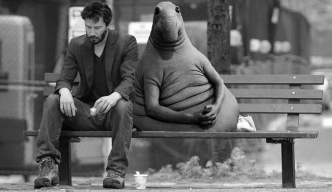 Никто не пришел на свидание - фото из открытого источника