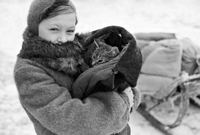 10 фактов о блокаде Ленинграда | Редактор из Петербурга (который теперь ...