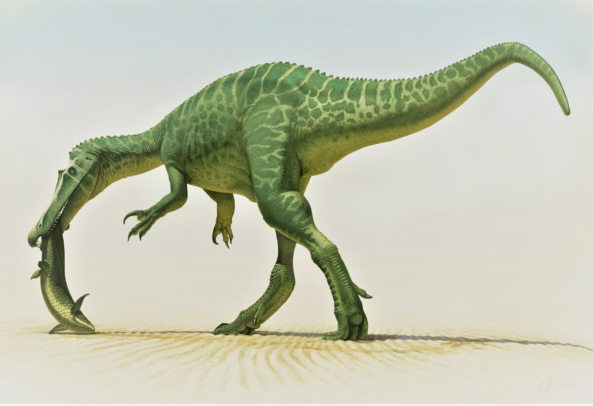 Барионикс — род хищных динозавров нижнего мелового период