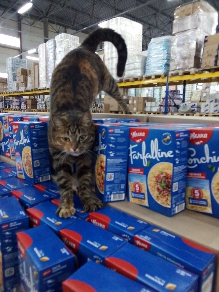 Только проснулся.