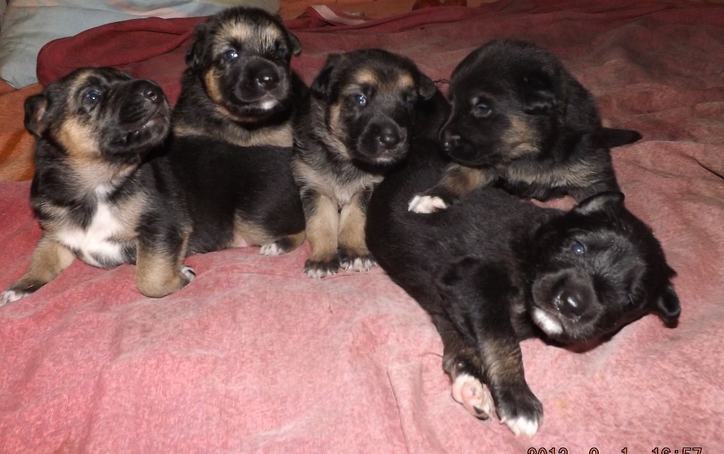 Одна из них... 