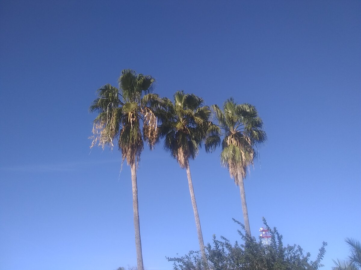 Вид с террасы