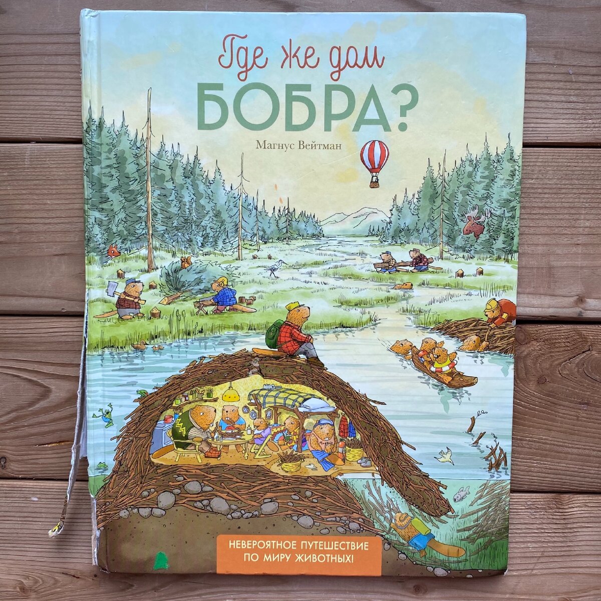 Дом бобра