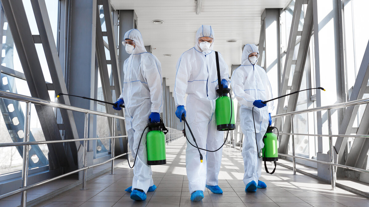 сотрудники NiceDezi