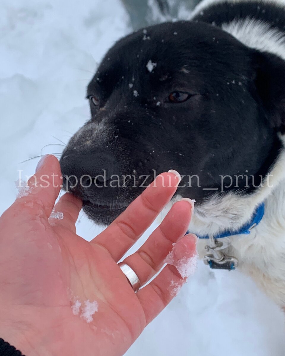 -1-2