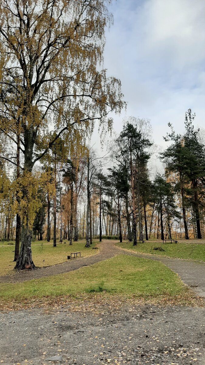 Мои первые впечатления от проживания в маленьком карельском городе и как  живётся здесь сейчас | Записки из Карелии | Дзен