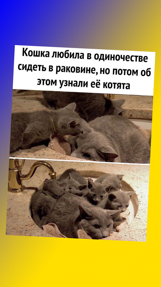 Да как вы меня нашли?!