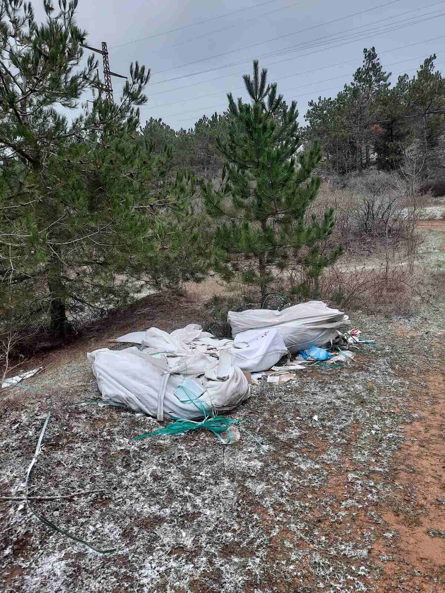 Фото из группы в ВК. На днях в лесу у нашего СНТ увидели такую картину. 