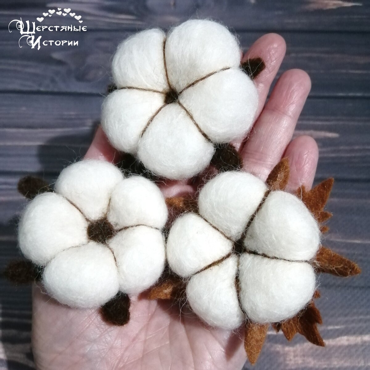 Цветки хлопка