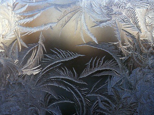 Рисунок 1 Фантастические узоры