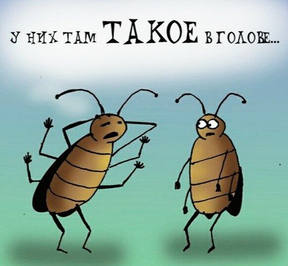 И в ресторанах тоже... (Картинка - Яндекс-коллекция.) 