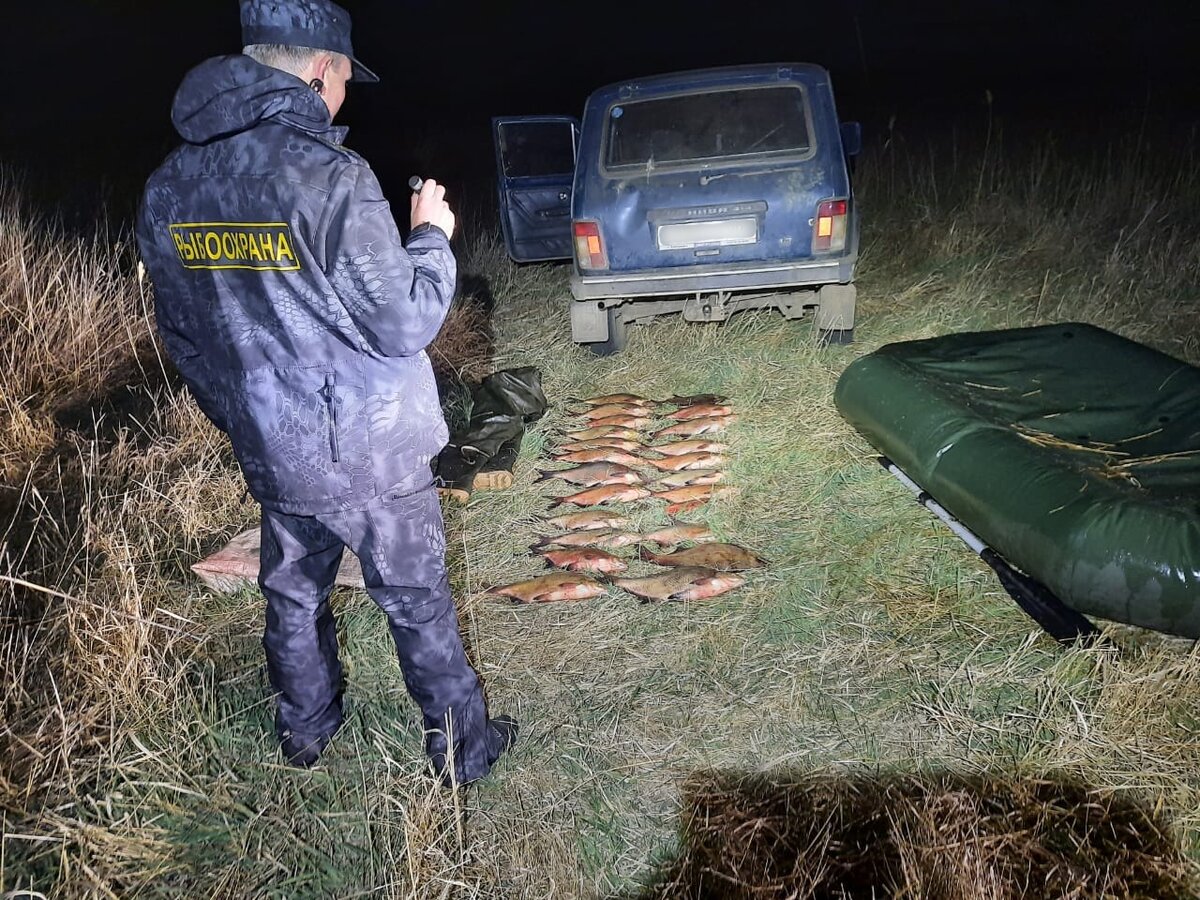 Браконьерство в беларуси презентация