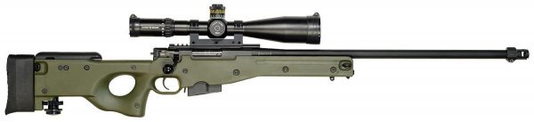 Accuracy International L96A1
