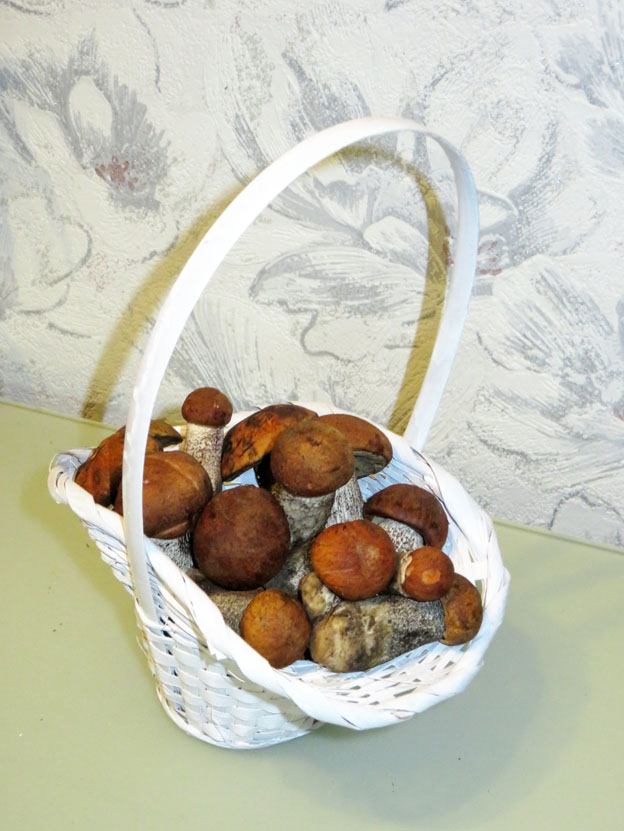 Фото Татьяны Коллайдер