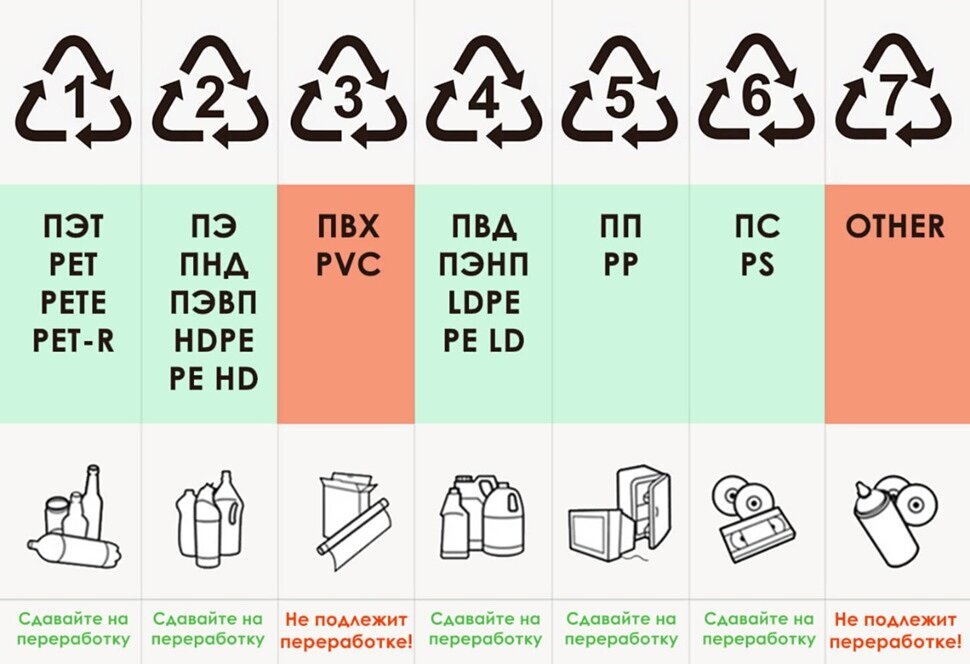 Фото: russian.pet