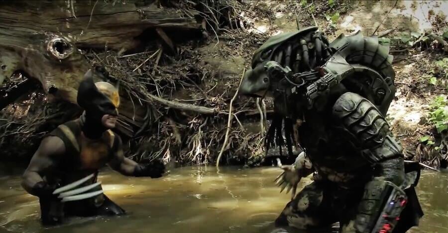 хищник против росомахи