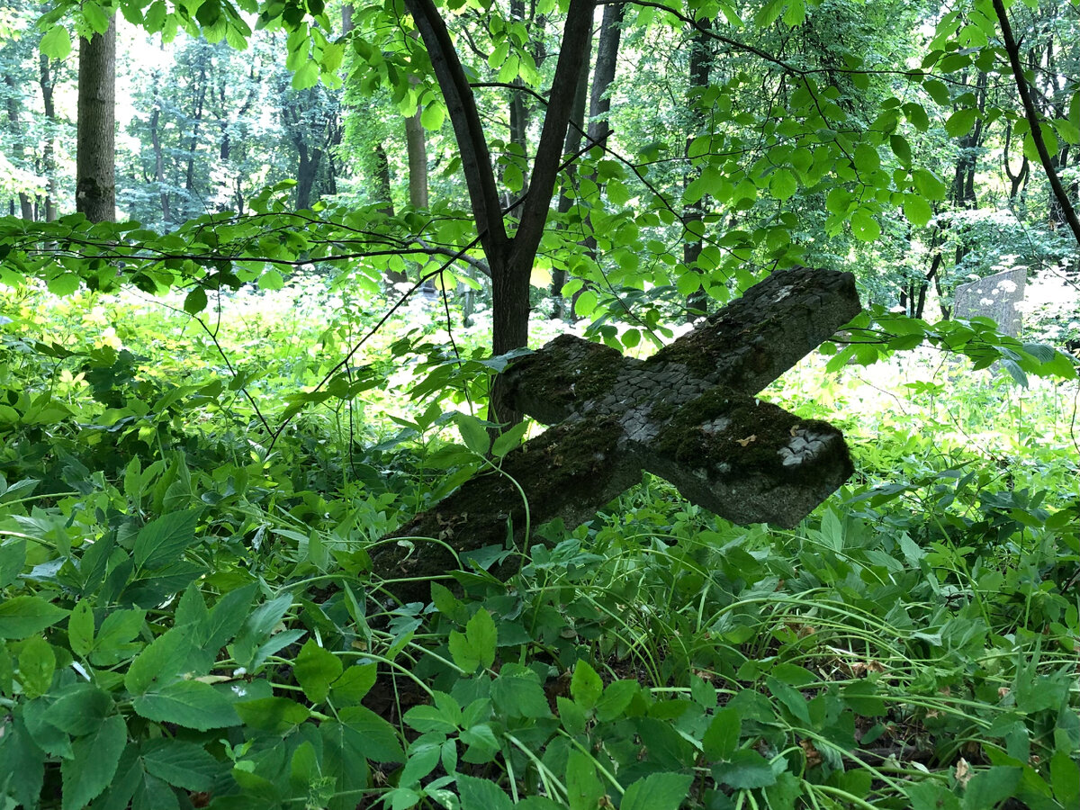 Надежда умирает последней