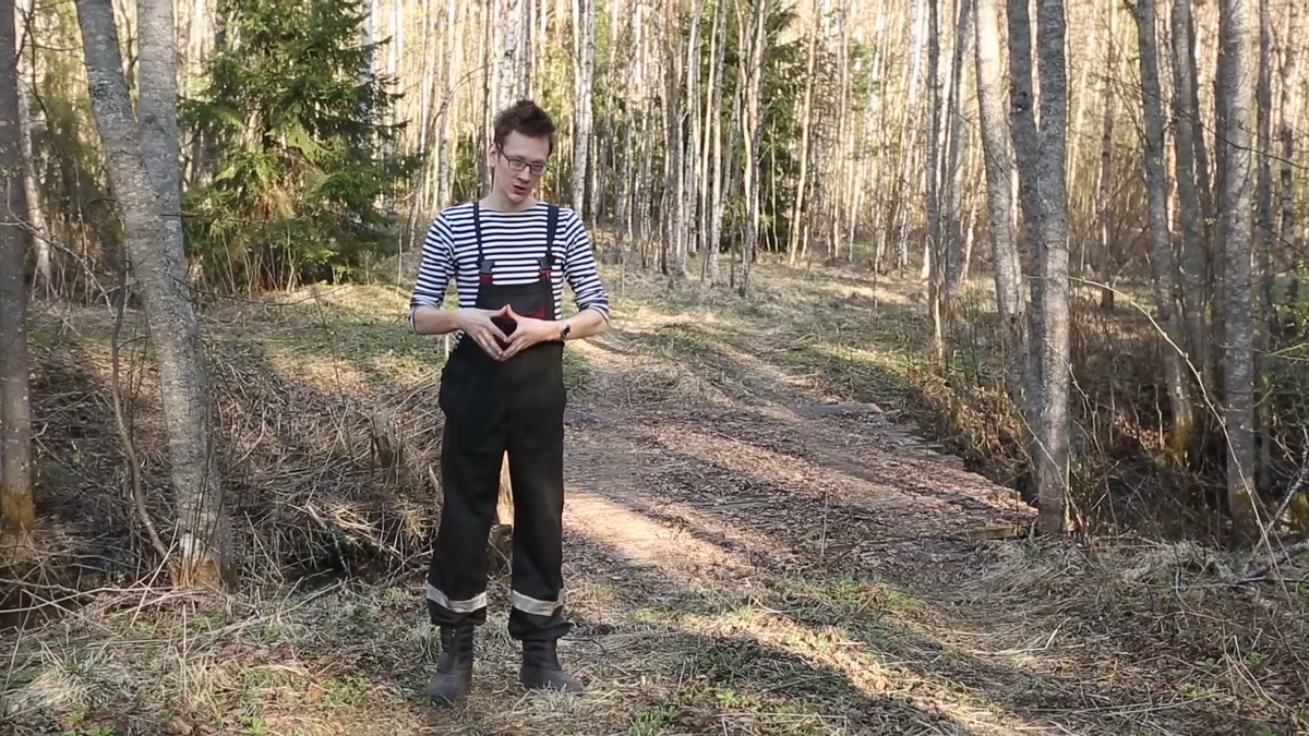 Картинка взята с сайта "YouTube"