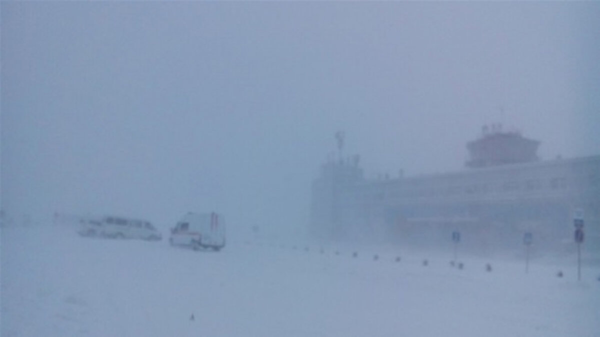 Вот такое вот - оно нам надо? (фото из открытых источников) 