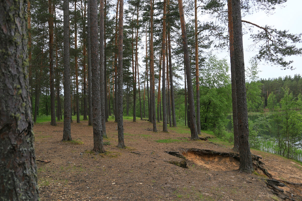 Фото А.Луцко Зелёное озеро