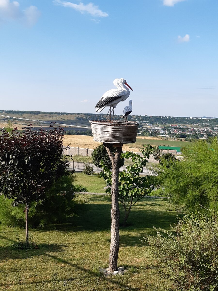 Территория Свято-Геогиевского женского монастыря близ станицы Ессентукской. Фото мое.