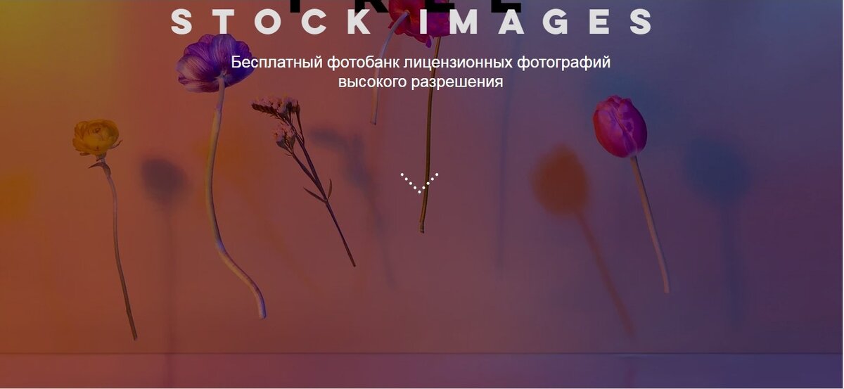 Главная страница сайта Free Stock Images