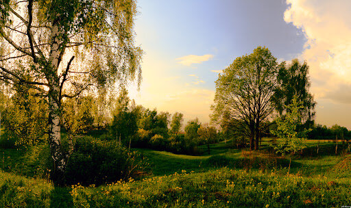 С поисковика