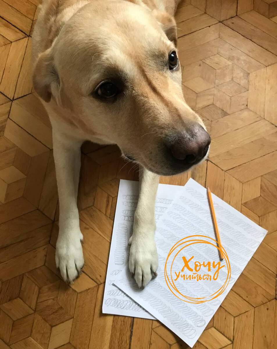 Я на разминку с этим упражнением тратила 3-5 листочков.