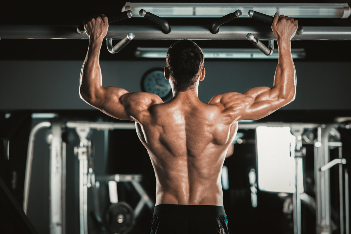 Learn fit. Накаченная спина. Спина атлета. Накаченная спина мужская. Мускулистая спина.
