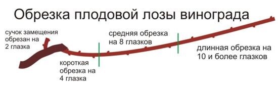 Изображение для иллюстрации, взято из открытых источников