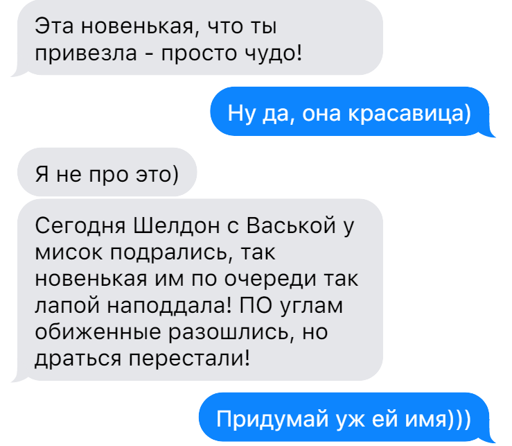 Врач с осмотром на юбилее — веселое поздравление