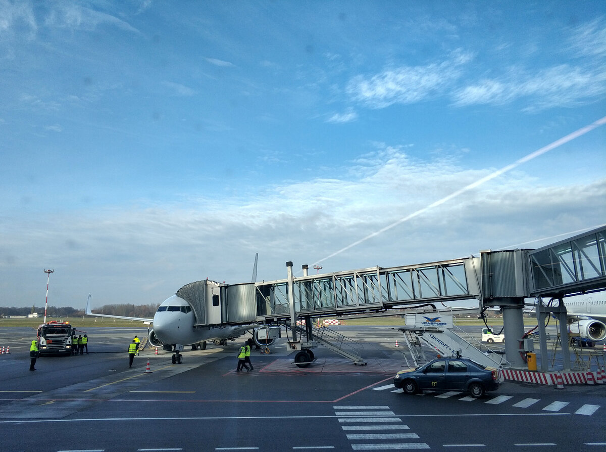 Наш самолет и синее небо. 