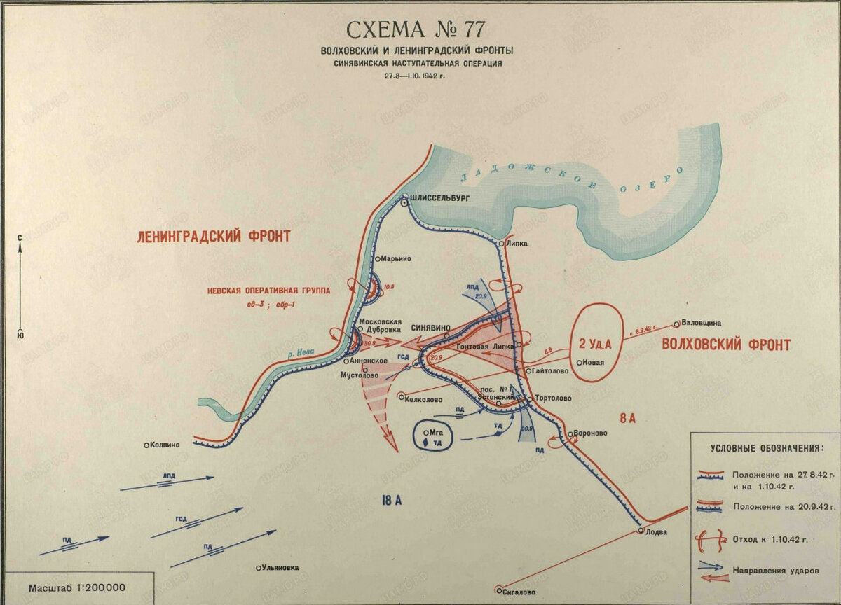 Синявинские болота 1942 бои