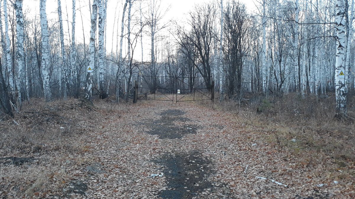 Подъездная дорога к ПЗРО Метлино. Челябинская область