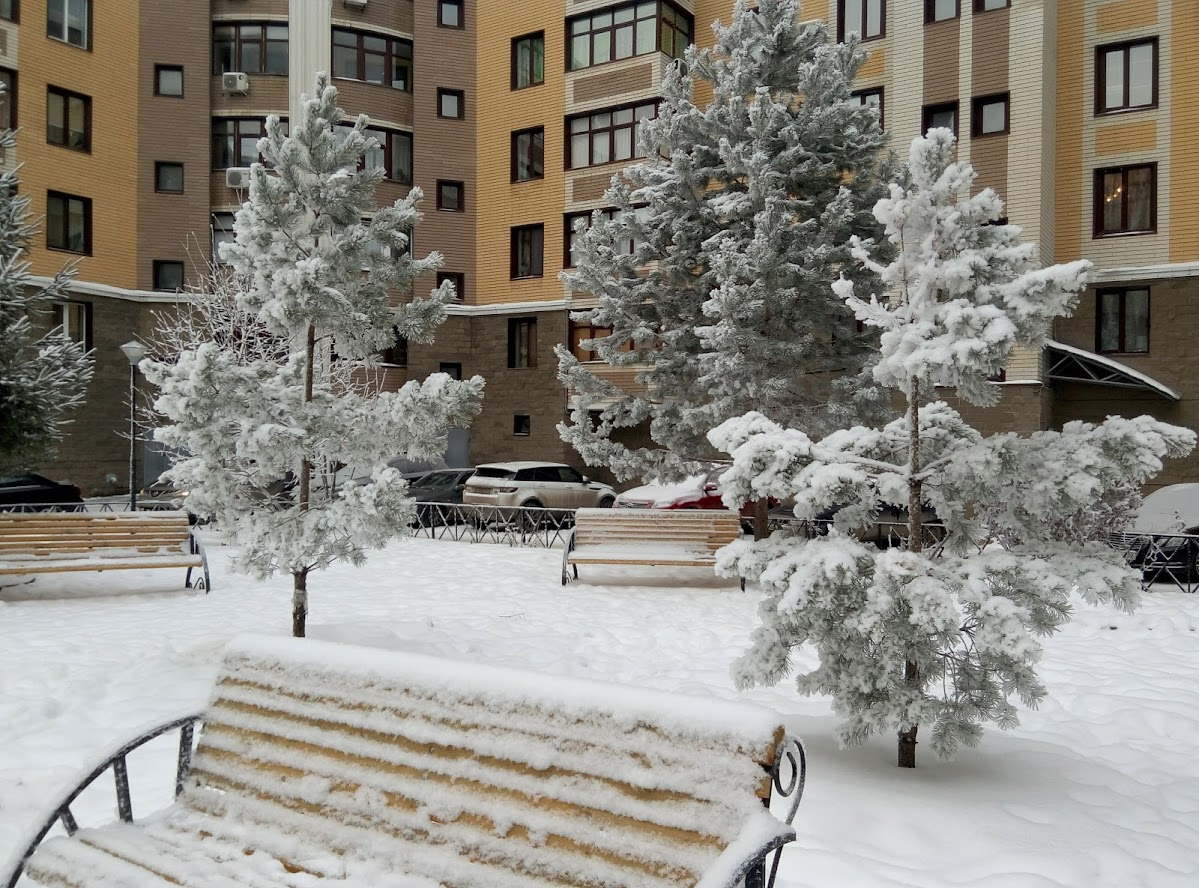Зимний дворик. Фото автора