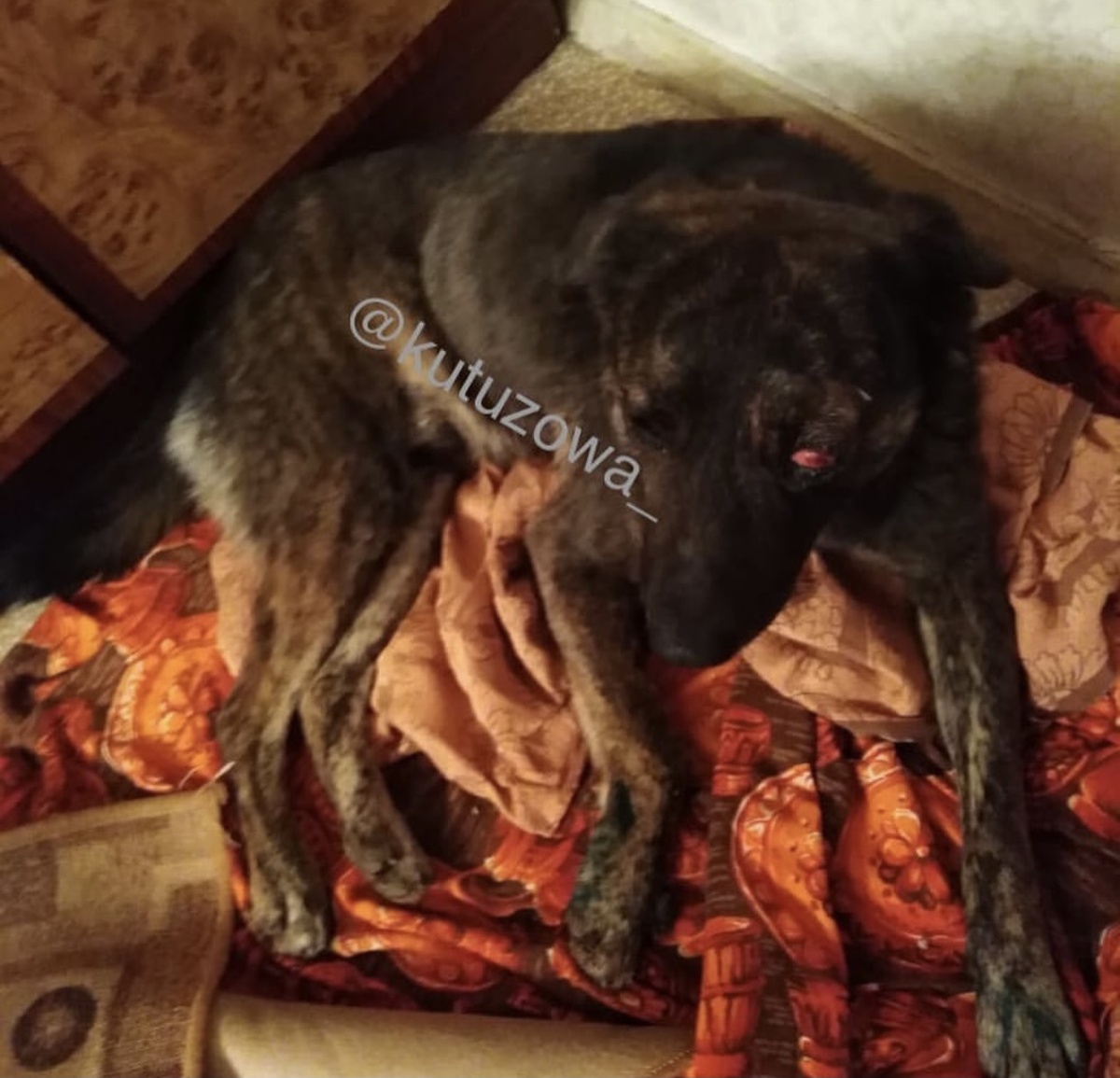 Малыш был в шоковом состоянии 