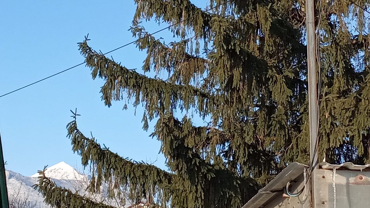 К утру ветер стих. Фото Елены Лабо