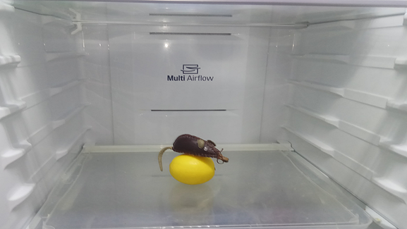 Мои запасы.