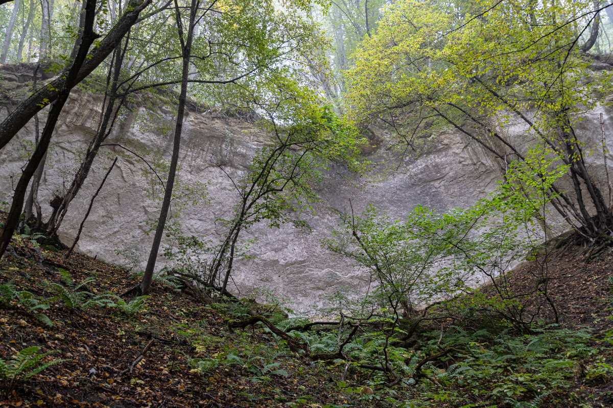 2. Более крупный план отвесной скальной стены.