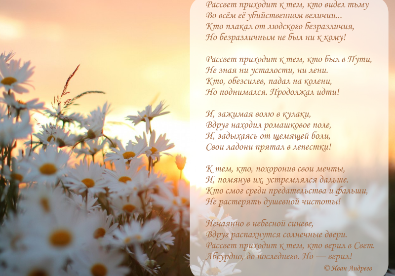 Фото из открытых источников. Открытка автора