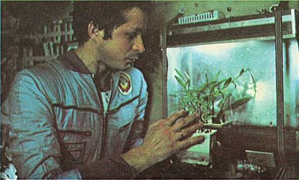 В. Савиных в зеленом уголке станции [на орбитальной станции «Салют-6»] (Фотография и подпись из книги «Салют-6» — «Союз» — «Прогресс». Работа на орбите»)