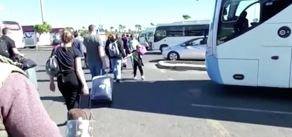 Кадр из сюжета РЕН ТВ